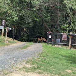 Spriggs Farm Park
