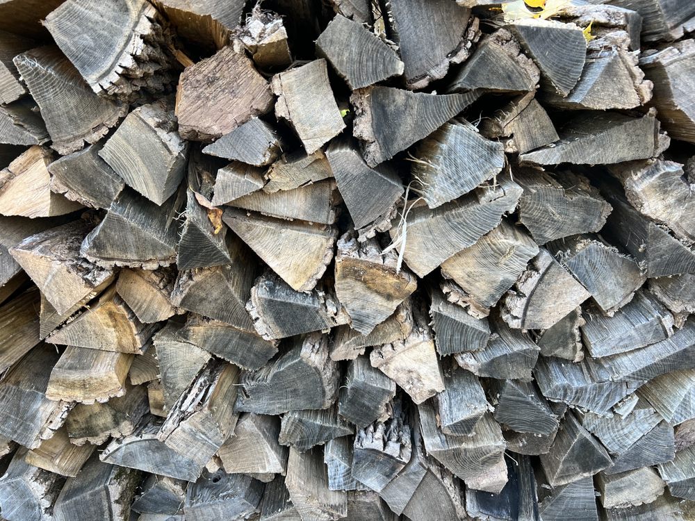 Stable Roots Farm - beekeeping in Princeton, NJ