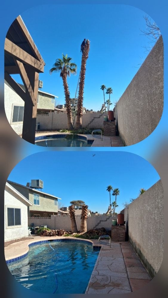 Oscar Landscaping - tree service in Las Vegas, NV