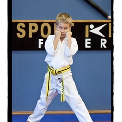 Champions Martial Arts Academy - Self defense classes for all ages and levels.