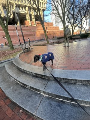 The New England Holocaust Memorial by null