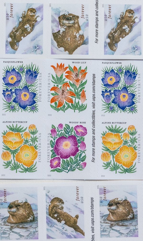 US POST OFFICE Updated April 2024 15 Reviews 603 Del Ganado Rd