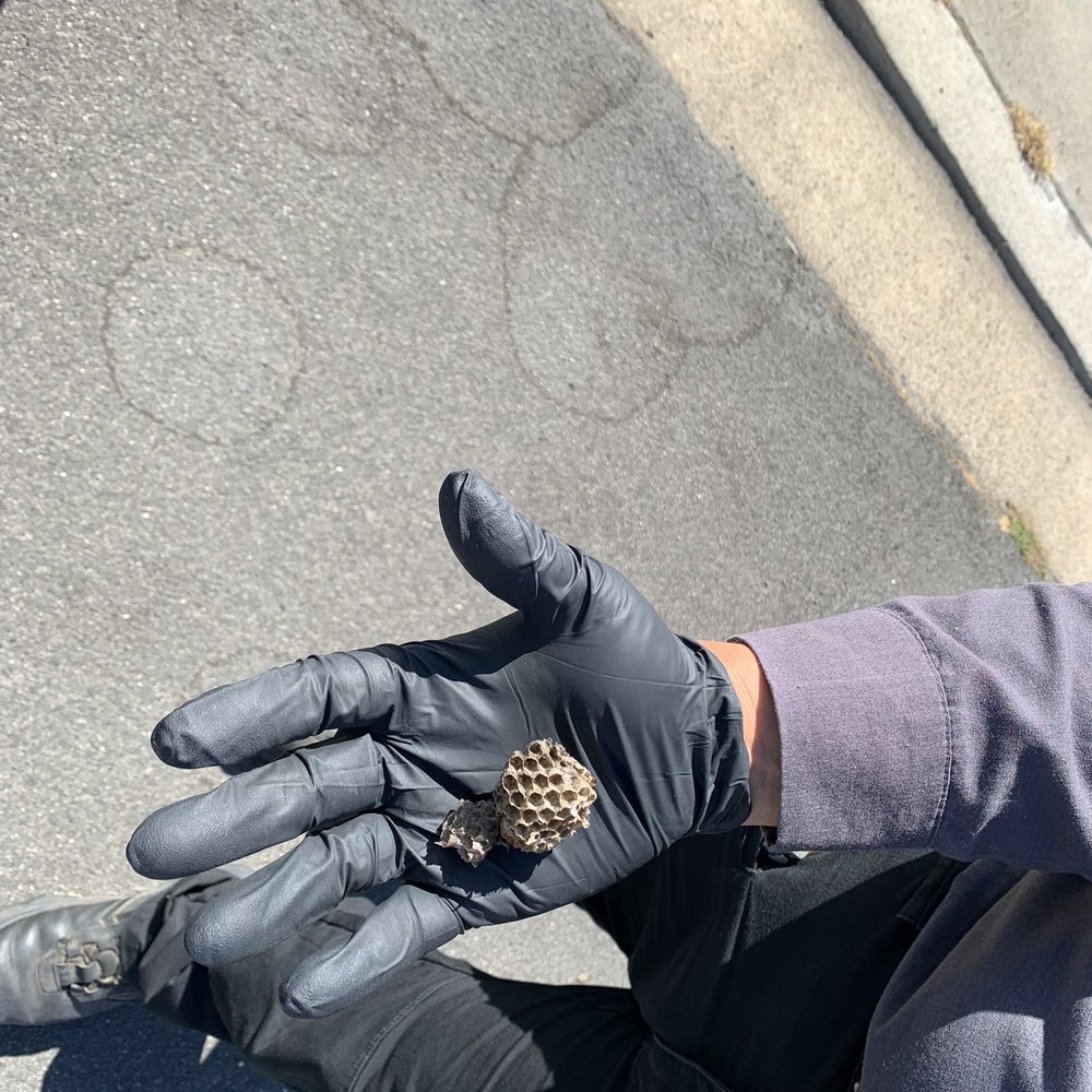 OnSite Pest Management - Pest Control Near Me OnSite Pest Management - Pest Control Near Me