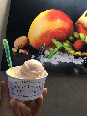 Gelateria Ponte Pietra Verona by null