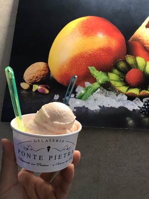 Photo of Gelateria Ponte Pietra - Verona, VR, IT. Grapefruit infused Prosecco gelato