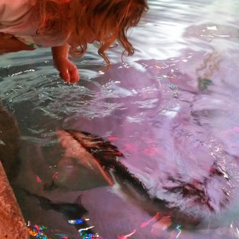 SeaQuest - Utah - Aquariums Near Me - Layton, Utah SeaQuest - Utah - Aquariums Near Me - Layton, Utah