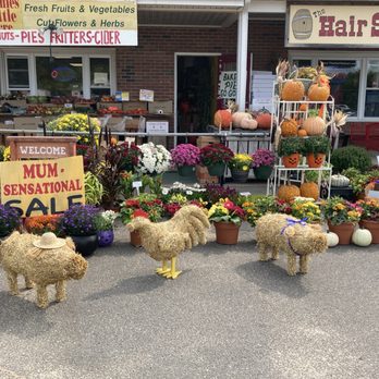 Vinnie's Little Acre - Organic Stores Near Me - East Windsor, Connecticut