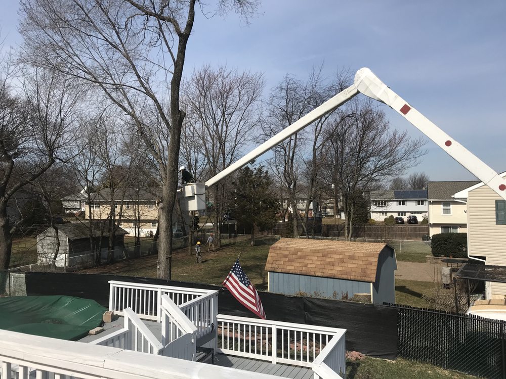 JORU TREE SERVICE Updated August 2024 1725 Kenyon Ave, South