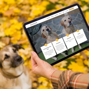 Razorfrog Web Design - Custom website designed and developed by Razorfrog for The Pawington - Web Design Near Me - San Francisco, California Razorfrog Web Design - Custom website designed and developed by Razorfrog for The Pawington - Web Design Near Me - San Francisco, California