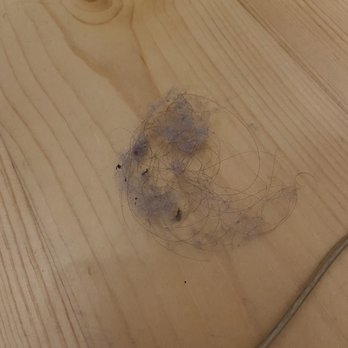 Econo Lodge - One of the many dust bunnies on the floors. - Hotels Near Me - Mackinaw City, Michigan