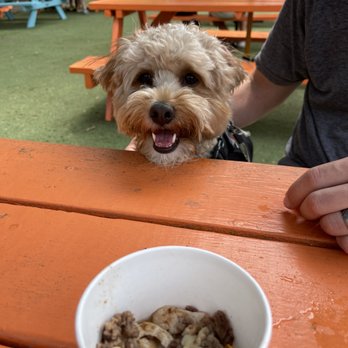 Hops & Hounds - The combo pup cup meal (ground beef and chicken, $4.99) - Dog Parks Near Me - San Antonio, Texas Hops & Hounds - The combo pup cup meal (ground beef and chicken, $4.99) - Dog Parks Near Me - San Antonio, Texas