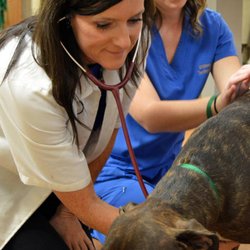 Cherokee Hospital for Animals
