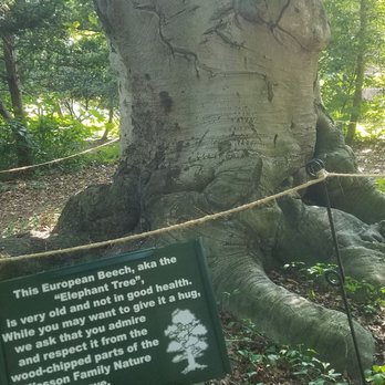 Reeves-Reed Arboretum - Venues & Event Spaces Near Me - Summit, New Jersey Reeves-Reed Arboretum - Venues & Event Spaces Near Me - Summit, New Jersey