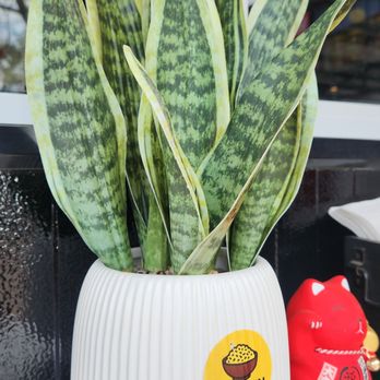 Broken Rice - Cute decor - Food Trucks Near Me - Austin, Texas Broken Rice - Cute decor - Food Trucks Near Me - Austin, Texas