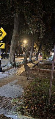 Hearse Ghost Tours by null