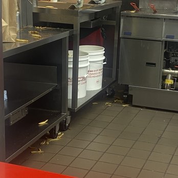 Five Guys - Fries on floor - Burgers Near Me - Doral, Florida Five Guys - Fries on floor - Burgers Near Me - Doral, Florida