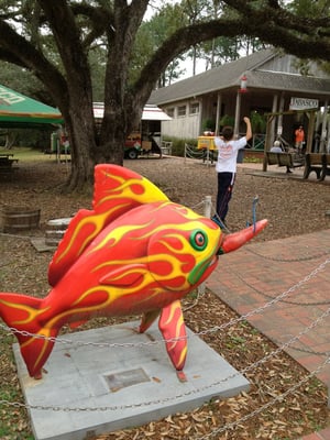 TABASCO Country Store by null