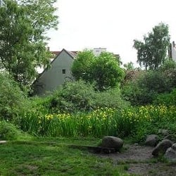 Park am Richardplatz