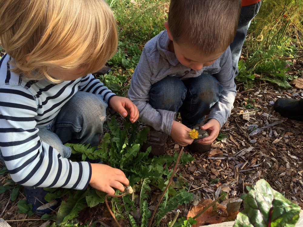 Roots-n-Shoots Preschool - childcare center in Portland, ME