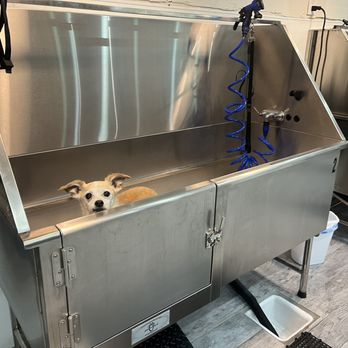 petNmind Naturals & Self-Wash Monrovia - Pet Stores Near Me - Monrovia, California
