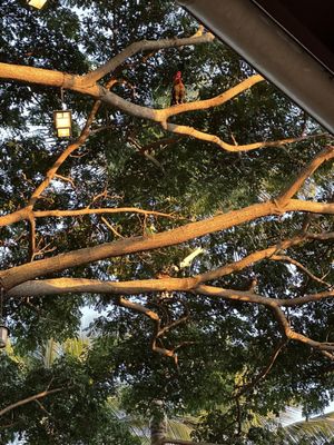 The Shops at Kukui‘ula by null