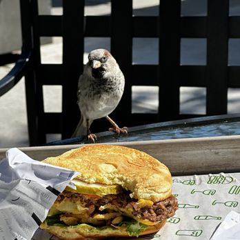 Shake Shack University Village - This bird tried to eat my veggie burger - Fast Food Near Me - Seattle, Washington Shake Shack University Village - This bird tried to eat my veggie burger - Fast Food Near Me - Seattle, Washington