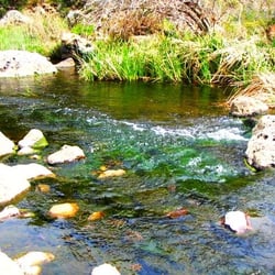 Malibu Canyon