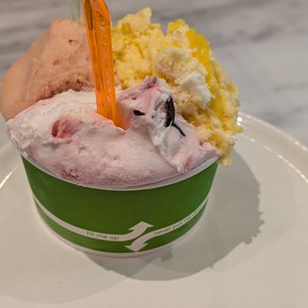 Yume Gelato - Medium gelato - pink guava, mango sticky rice, amarena cherry with chocolate chips - Gelato Near Me - Sacramento, California Yume Gelato - Medium gelato - pink guava, mango sticky rice, amarena cherry with chocolate chips - Gelato Near Me - Sacramento, California