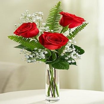 Spencer's Designer Florist - Florists Near Me - Jacksonville, Florida Spencer's Designer Florist - Florists Near Me - Jacksonville, Florida