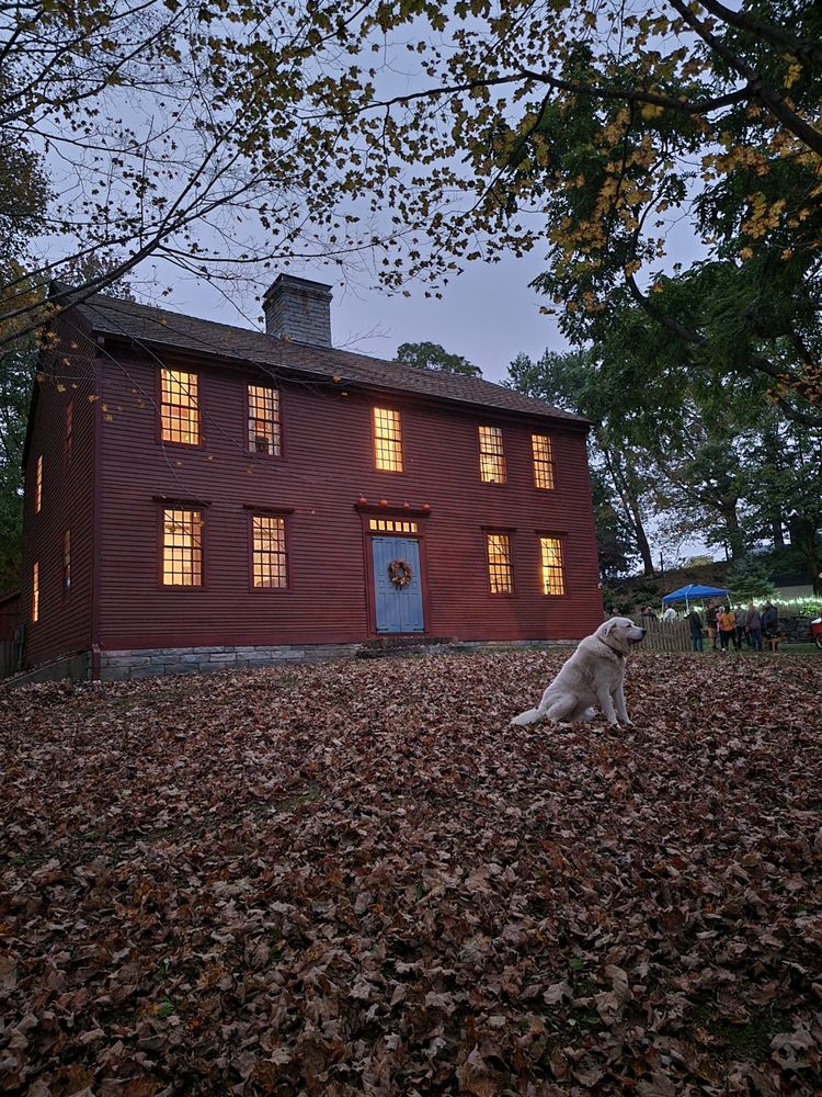 Hanover Vineyards - vineyard in Sprague, CT