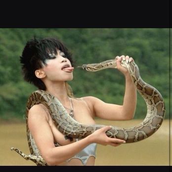 Alltech Auto Repairs and Service - Why would she put this up?!?  I tell you what. She can put my snake in her mouth. - Auto Repair Near Me - Largo, Florida