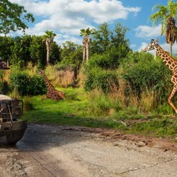 Kilimanjaro Safaris
