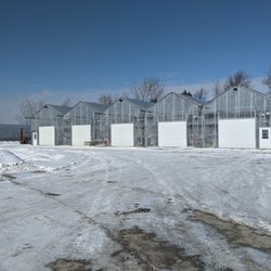 Warmbier Farms - Warmbier Farms brand new greenhouse located between Bay City MI and Midland Mi.