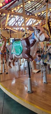 Salem's Riverfront Carousel by null