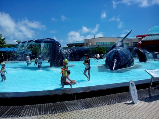 National Museum of Marine Biology & Aquarium by null