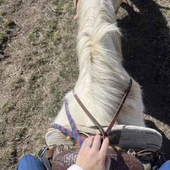 Big Horn Stables - Horseback Riding Near Me - Littleton, Colorado