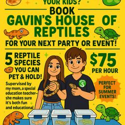 Gavin’s House Of Reptiles