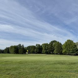 Thorn Apple Country Club - Greens and fairways
