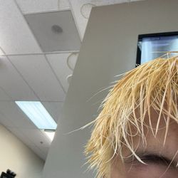Neat Cuts - THE DAMAGED HAIR