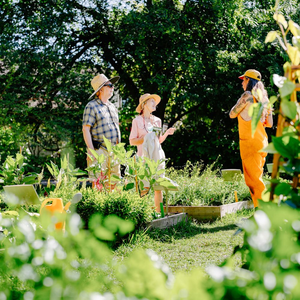 Best Plant Nurseries in South Florida: Top Picks for Green Thumbs