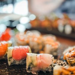 Shoku Sushi & Bar