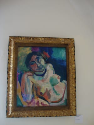 Annonciade Museum by null