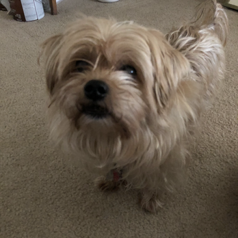 Warminster Veterinary Hospital - Rocky dr may was his vet thank goodness we had dr may . - Veterinarians Near Me - Warminster, Pennsylvania Warminster Veterinary Hospital - Rocky dr may was his vet thank goodness we had dr may . - Veterinarians Near Me - Warminster, Pennsylvania