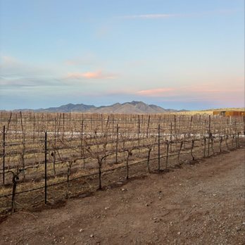Los Milics Vineyards - Outdoors - Wine Tasting Room Near Me - Elgin, Arizona