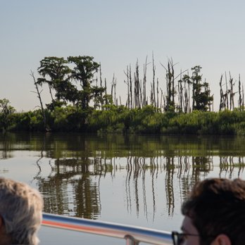 Outside Savannah - Discover Savannah's wildlife - Boat Tours Near Me - Savannah, Georgia Outside Savannah - Discover Savannah's wildlife - Boat Tours Near Me - Savannah, Georgia