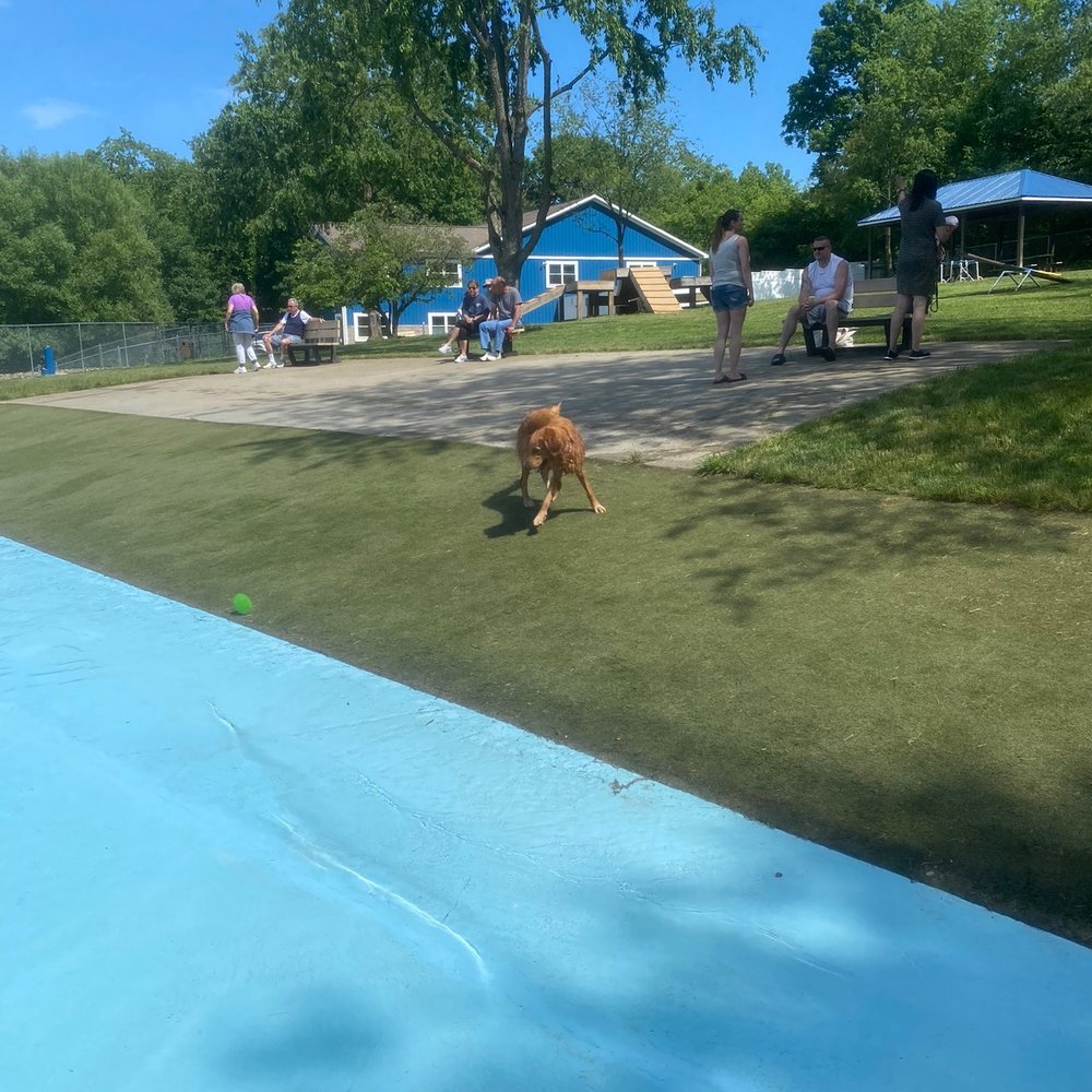 Lucky Paws Pet Resort - Pet Training Near Me - Freedom, Pennsylvania Lucky Paws Pet Resort - Pet Training Near Me - Freedom, Pennsylvania