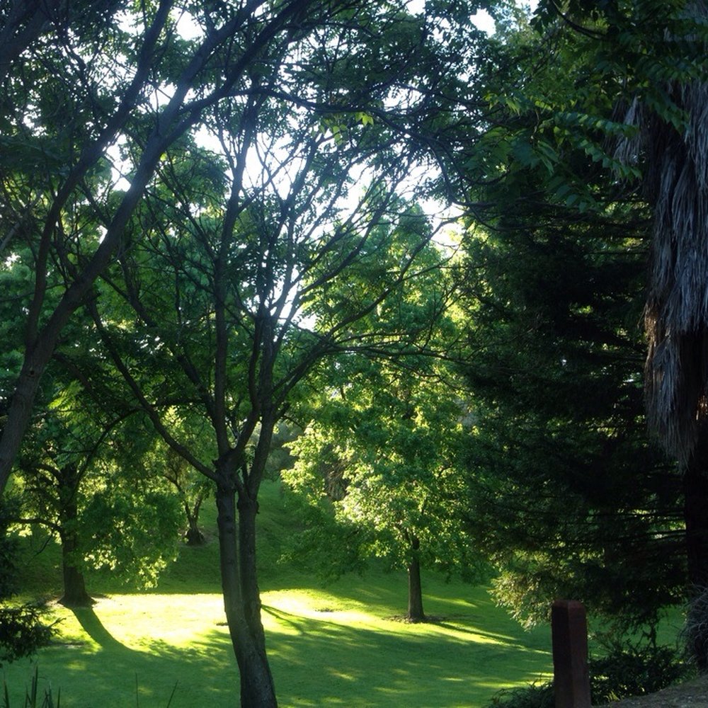 Montview Park - Parks Near Me - Fair Oaks, California Montview Park - Parks Near Me - Fair Oaks, California