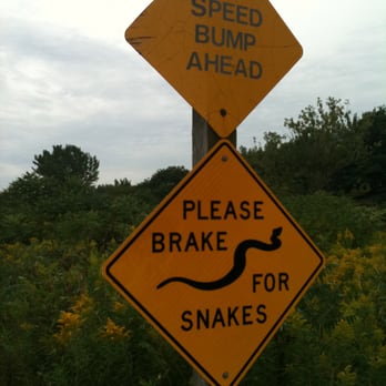 Leslie Street Spit Trail - i didn't see any :P - Parks Near Me - Toronto, Ontario