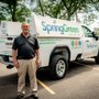 Photo of SpringGreen
