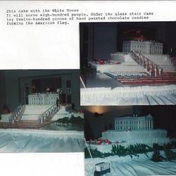 Our Creation Cakes - White House Cake